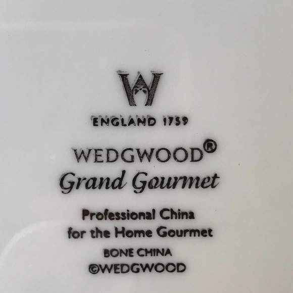 Set Of 2  Wedgwood “Grand Gourmet” England 9 3/4” - Picture 5 of 6